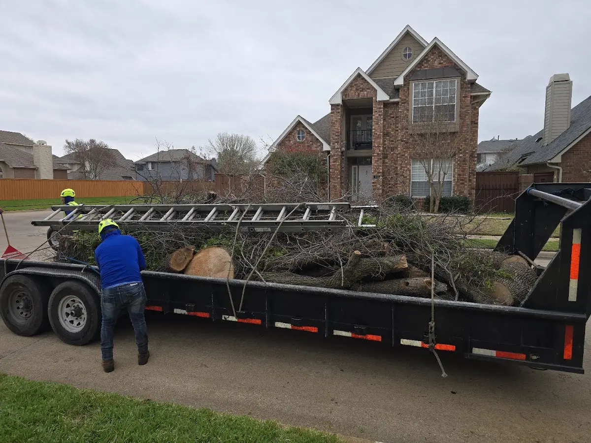 Expert Lot Clearing with proper safety equipment in Port Mansfield